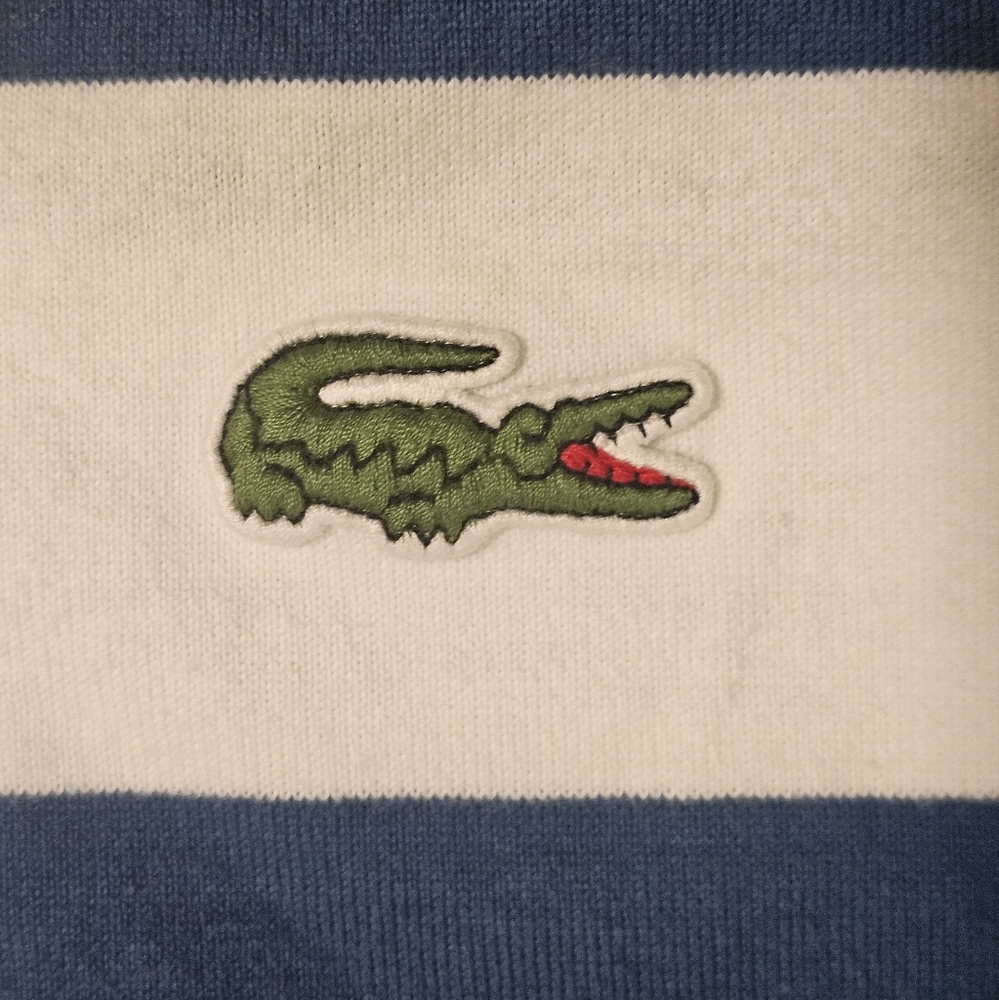 graphic polo